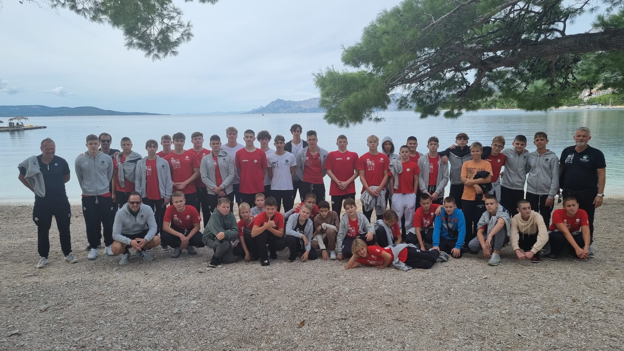 24e2aab2-fd8e-4890-803f-26815db820ba