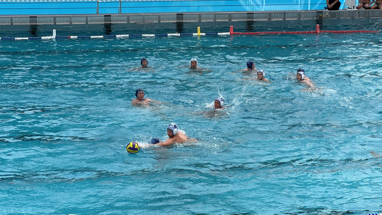 IMG_2005 IMG_2005