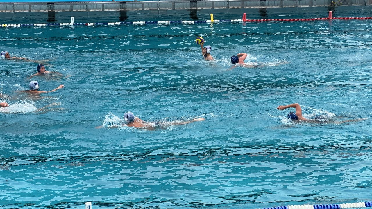 IMG_2010 IMG_2010