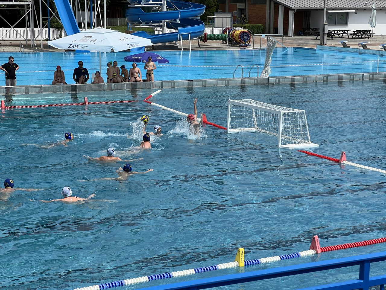 IMG_2116 IMG_2116