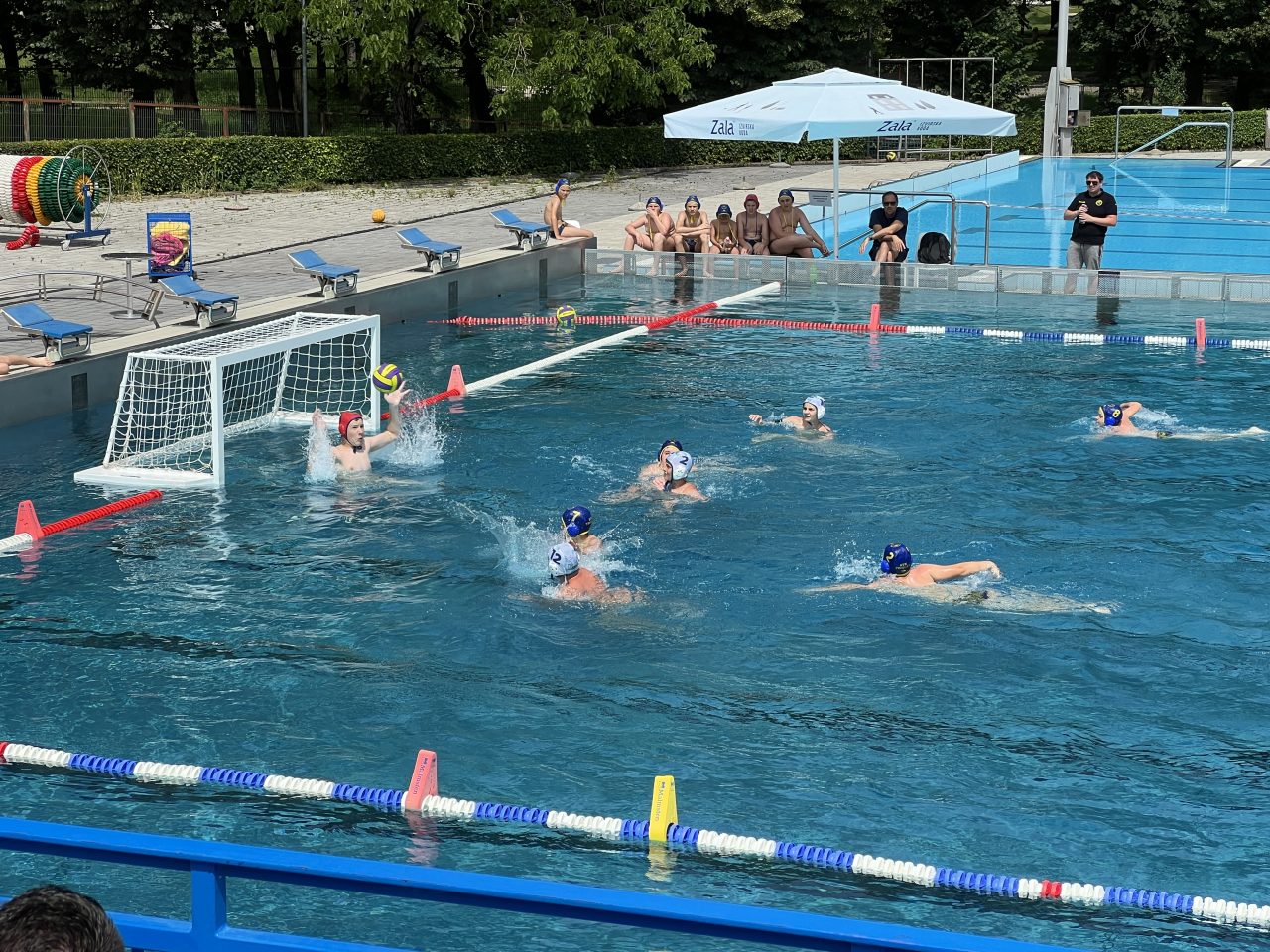 IMG_2158 IMG_2158