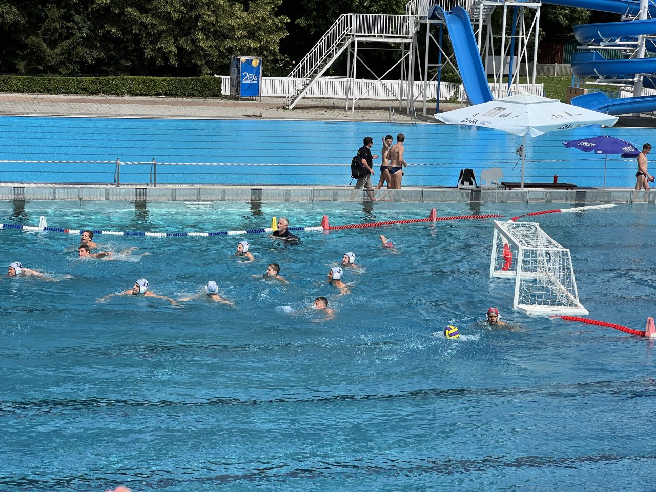 IMG_2174 IMG_2174