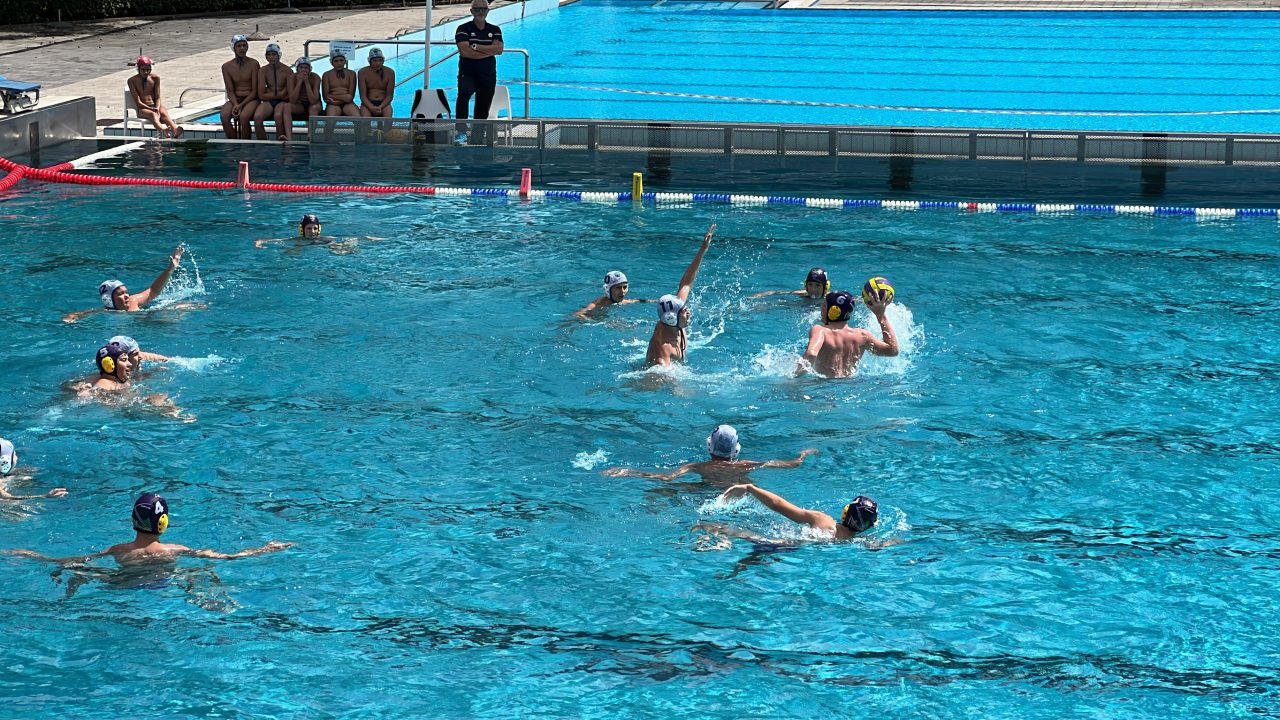 IMG_2334 IMG_2334