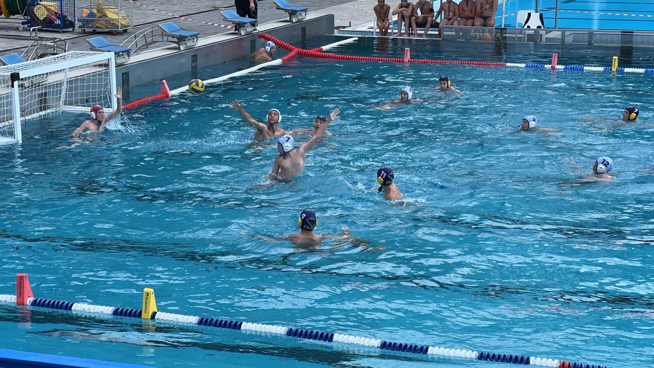 IMG_2375 IMG_2375