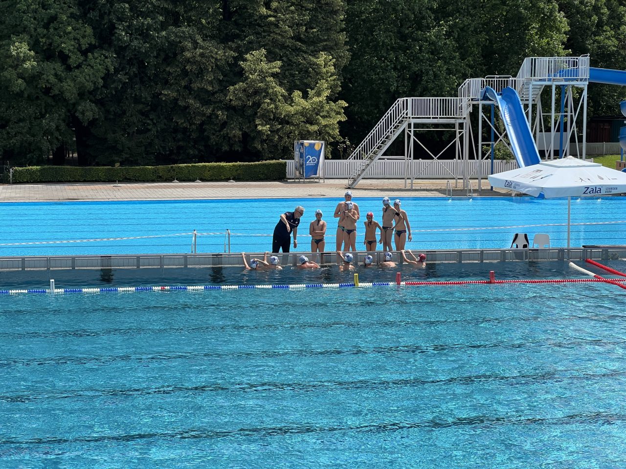 IMG_2384 IMG_2384