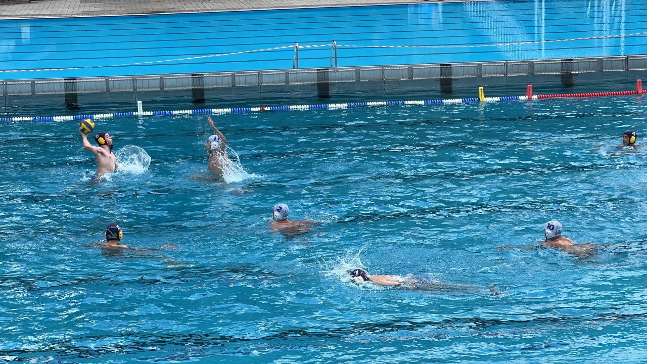 IMG_2387 IMG_2387
