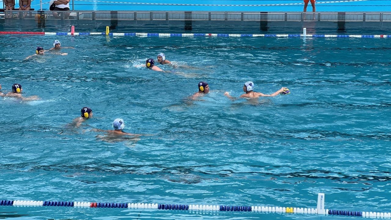 IMG_2401 IMG_2401