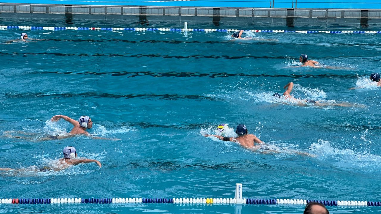 IMG_2430 IMG_2430