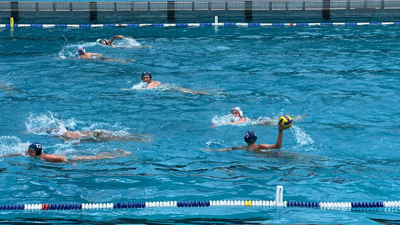 IMG_2434 IMG_2434