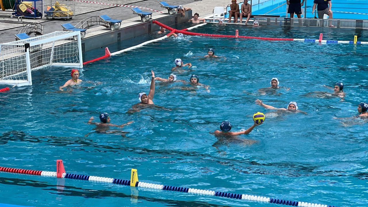 IMG_2438 IMG_2438