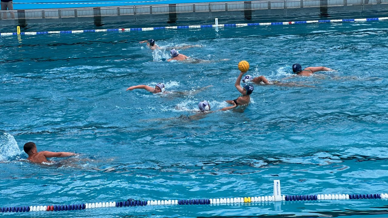 IMG_2446 IMG_2446