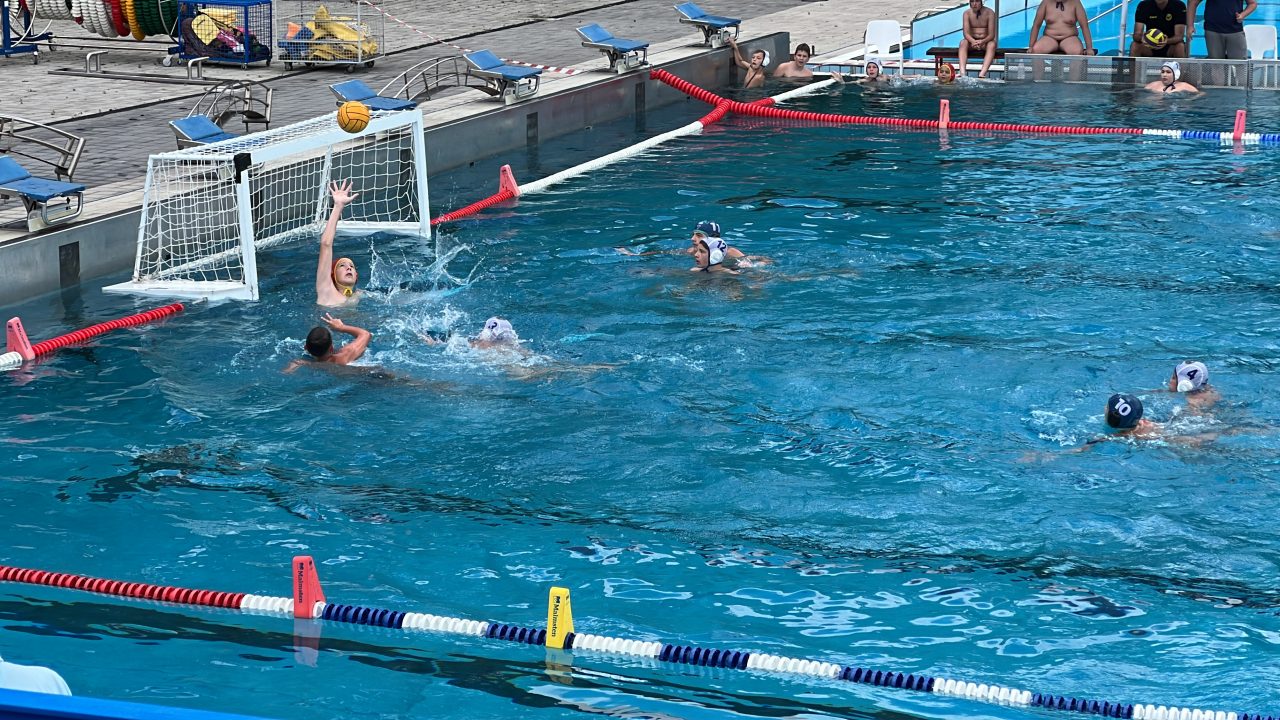 IMG_2448 IMG_2448