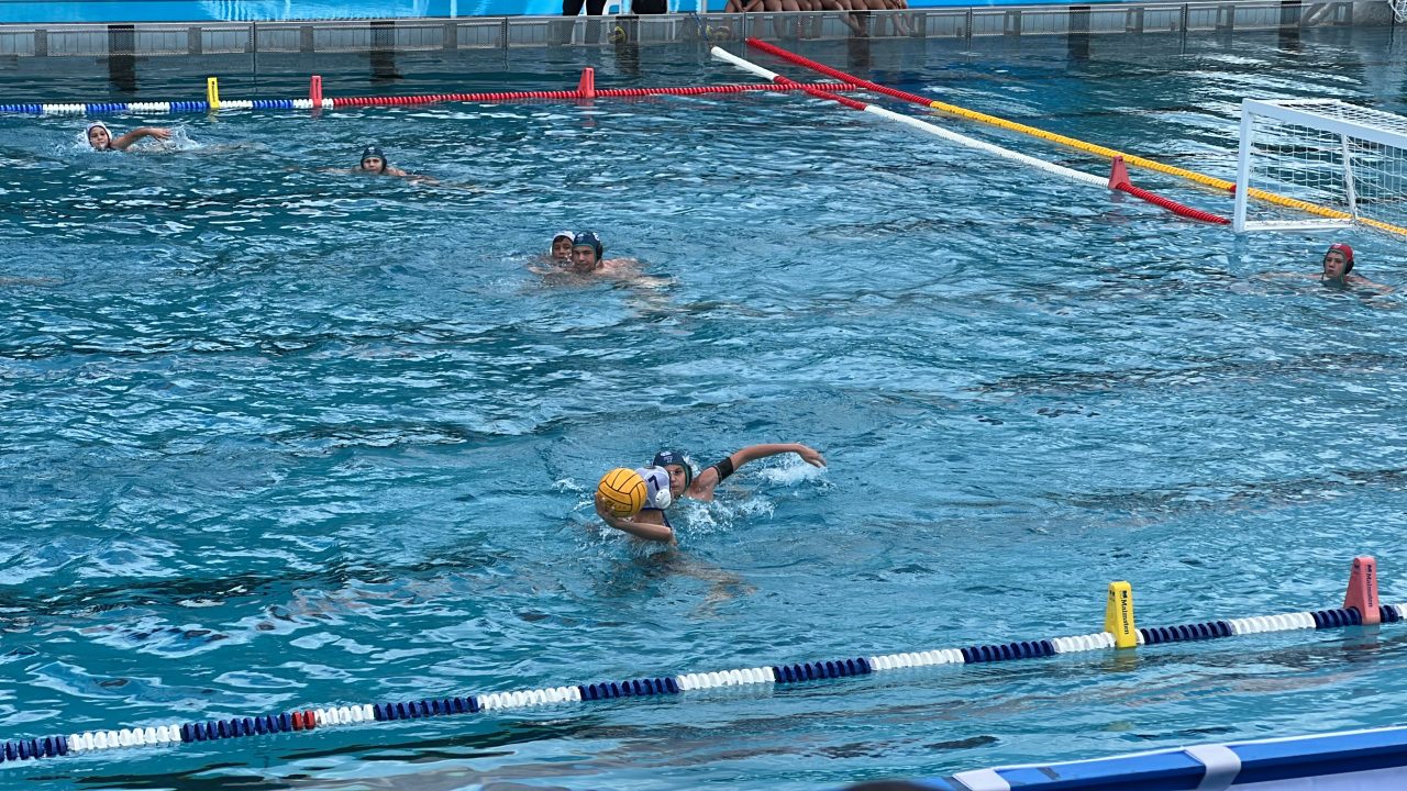 IMG_2456 IMG_2456