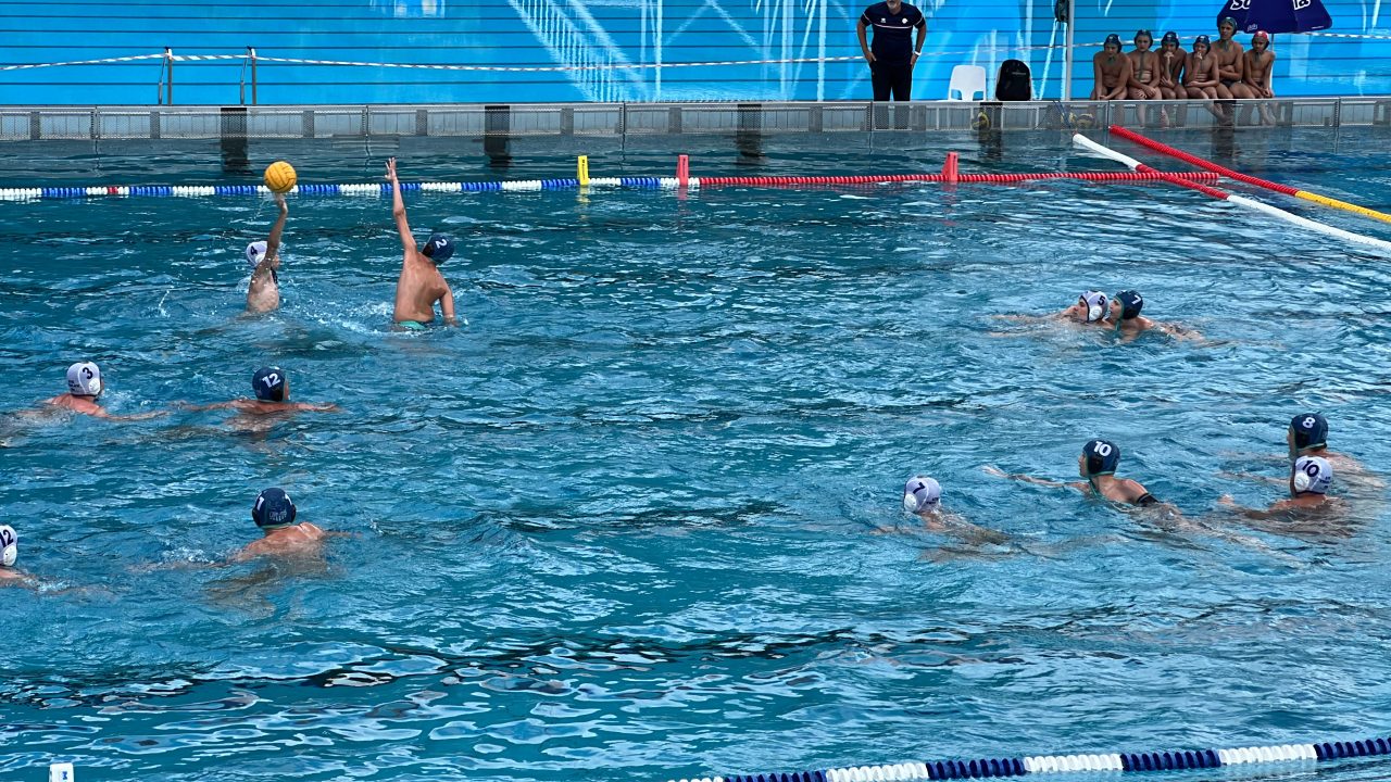 IMG_2463 IMG_2463