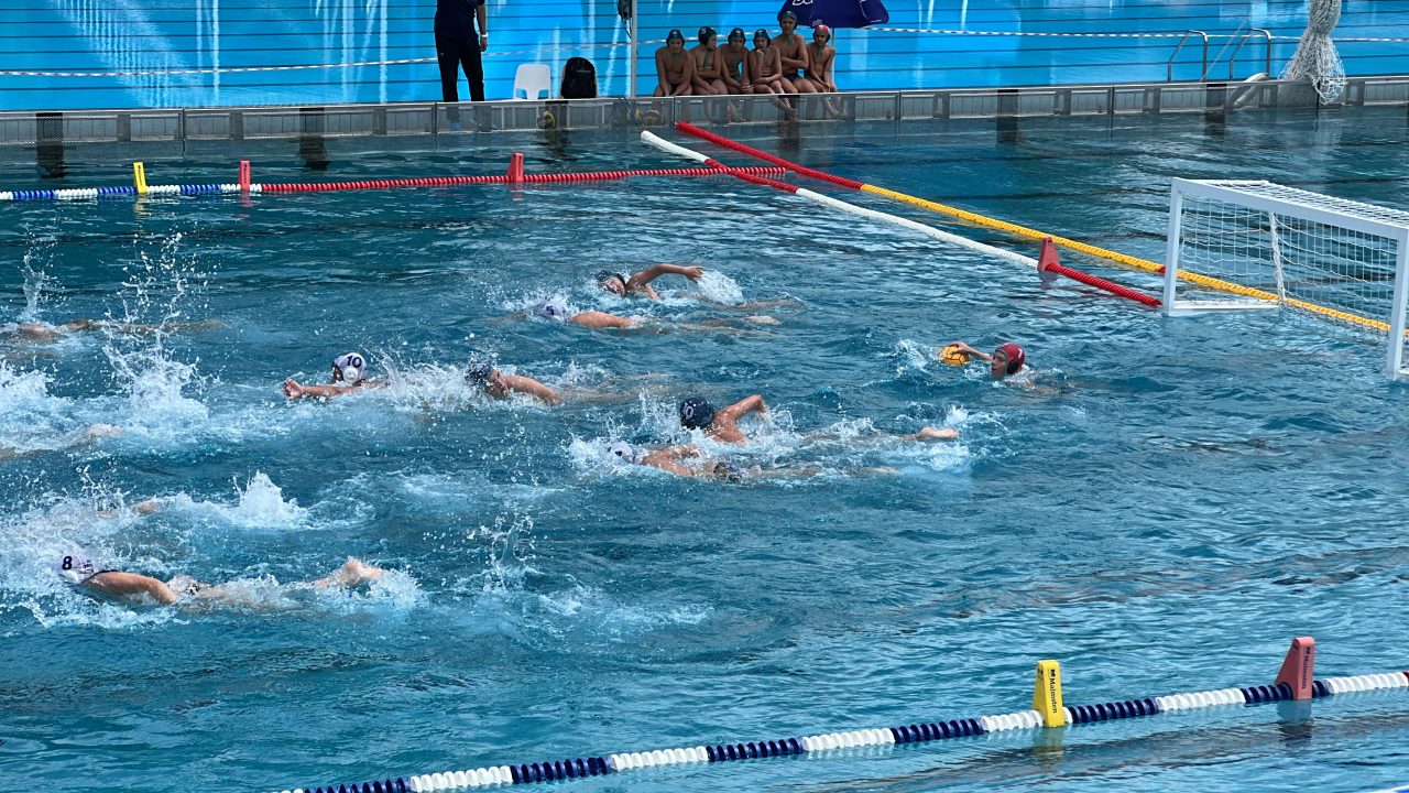 IMG_2476 IMG_2476