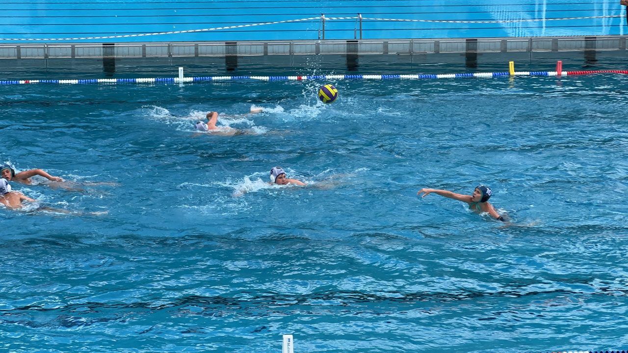 IMG_2496 IMG_2496