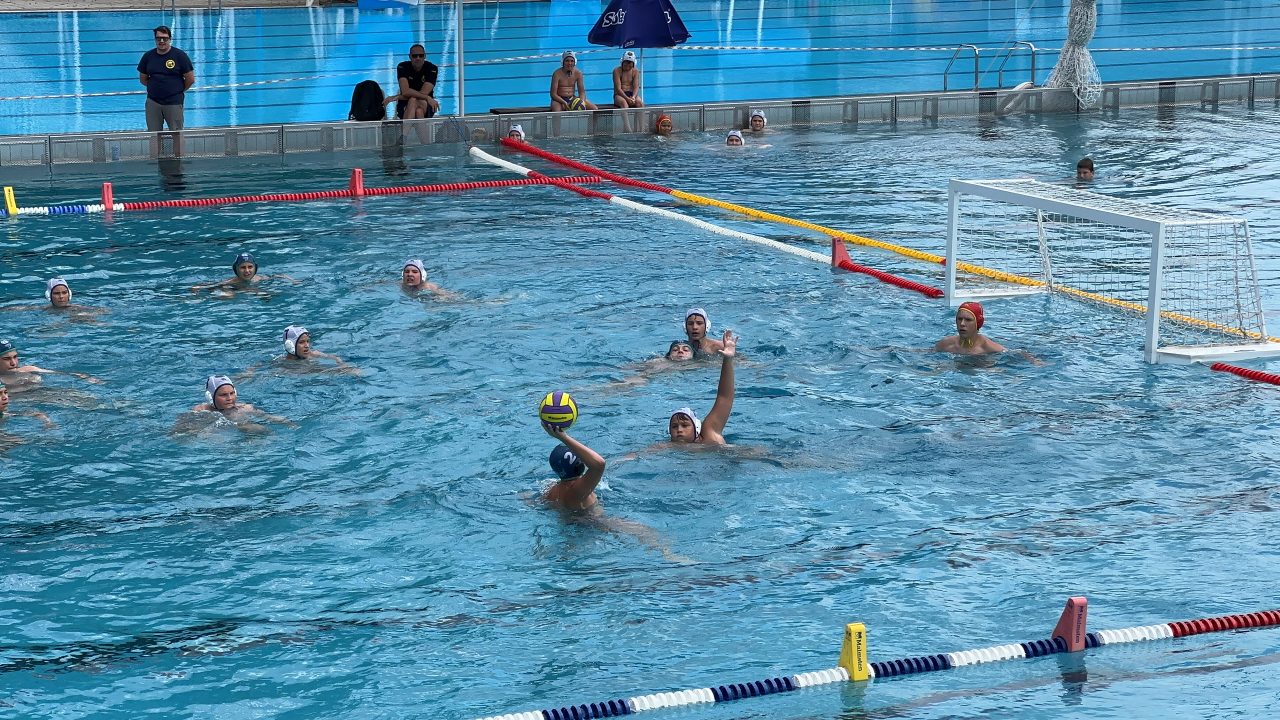 IMG_2529 IMG_2529