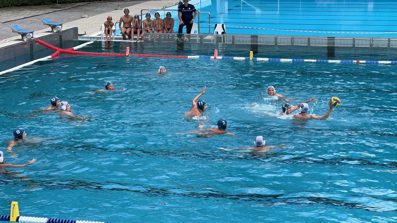 IMG_2537 IMG_2537