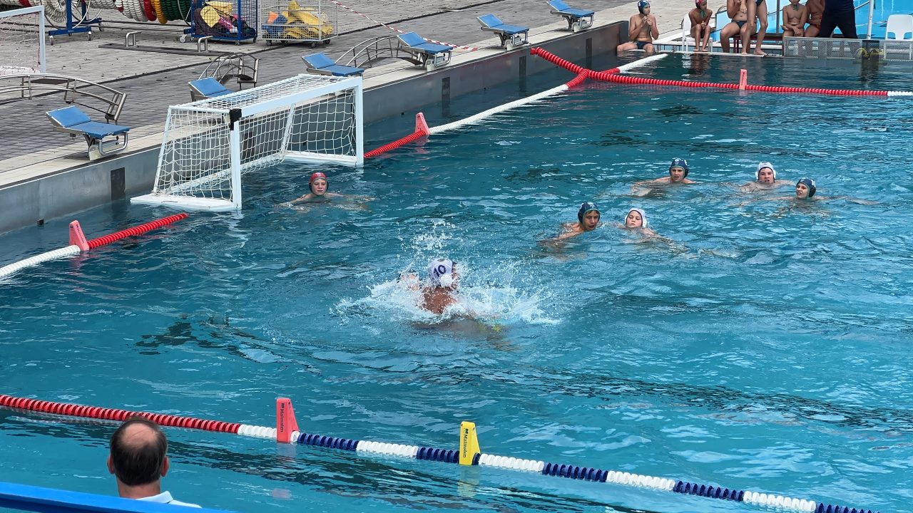 IMG_2556 IMG_2556