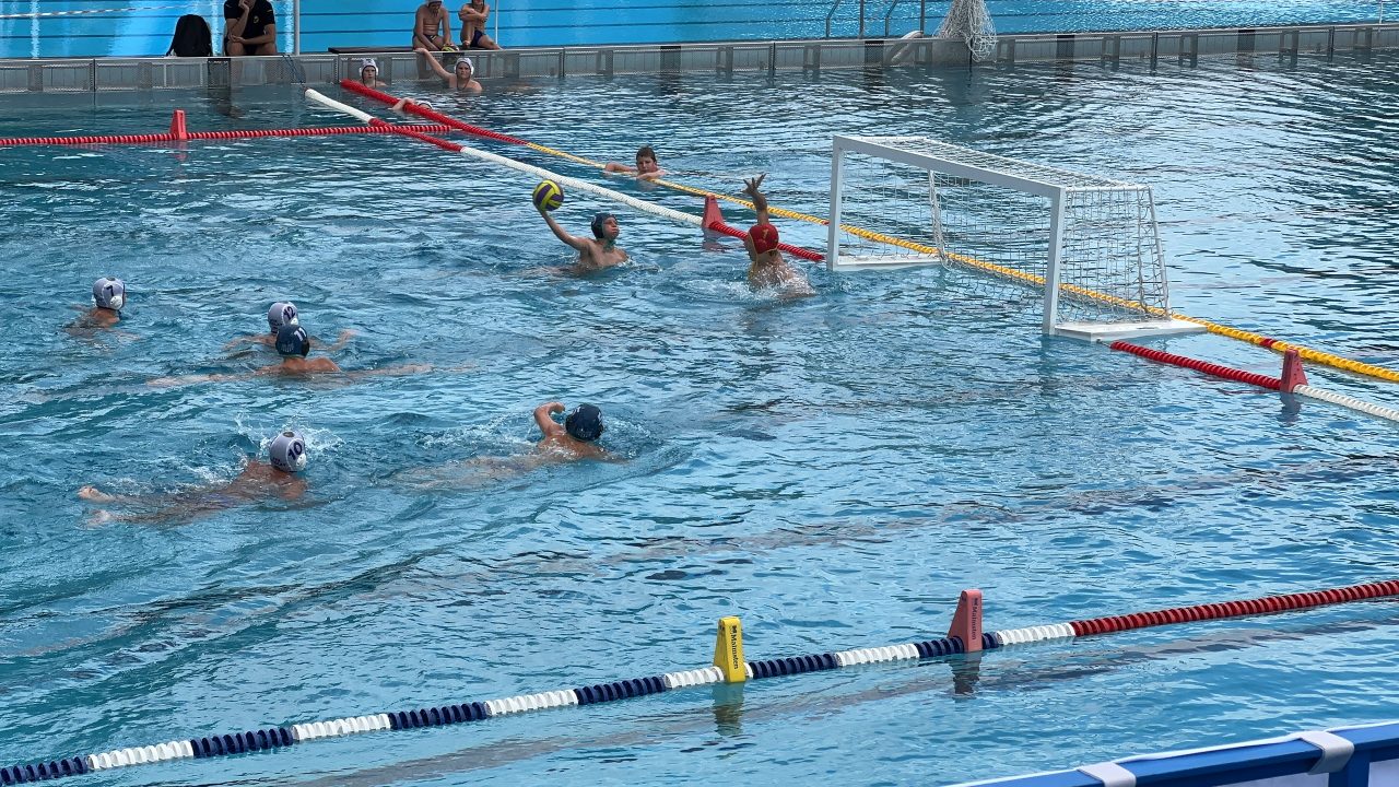 IMG_2561 IMG_2561