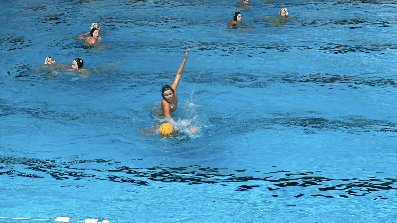 IMG_5496 IMG_5496