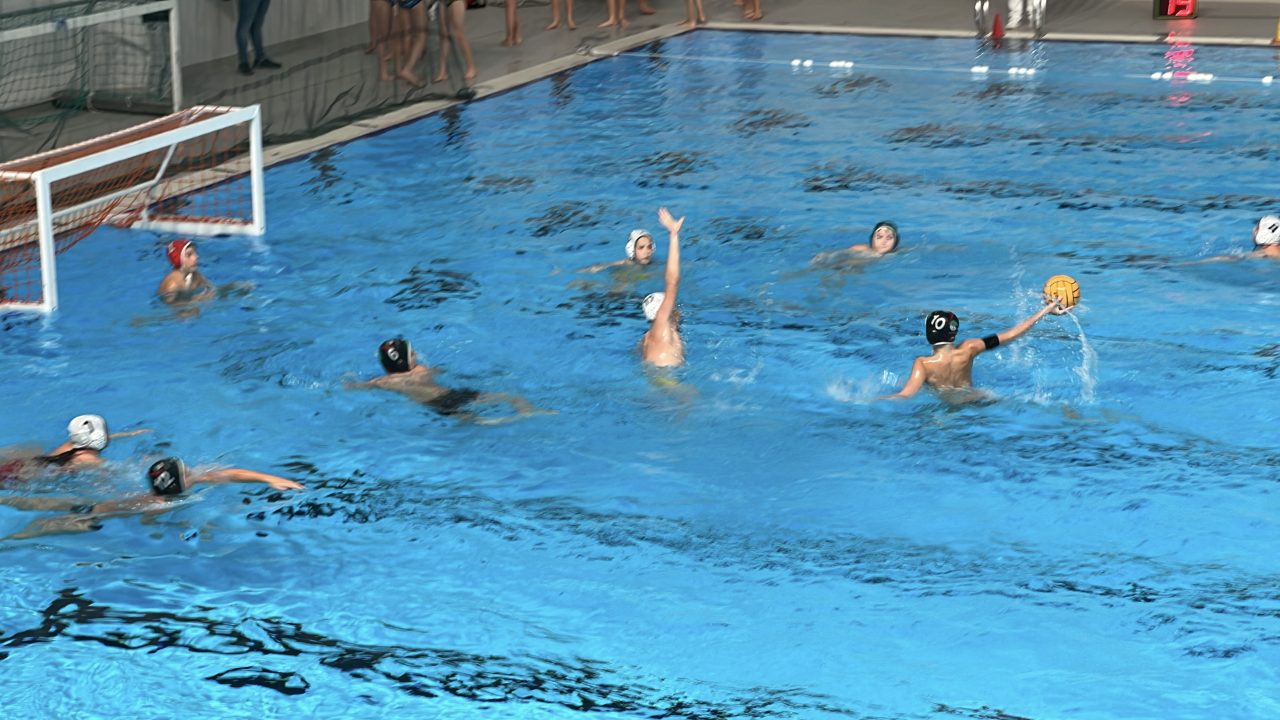 IMG_5519 IMG_5519