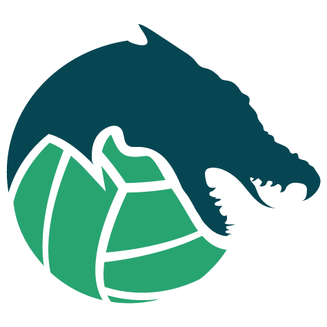 VK LJUBLJANA SLOVAN 2